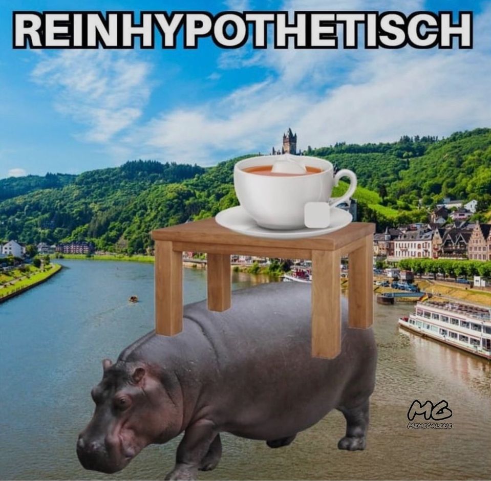 REINHYPOTHETISCH
MG
MEMEGALERIE