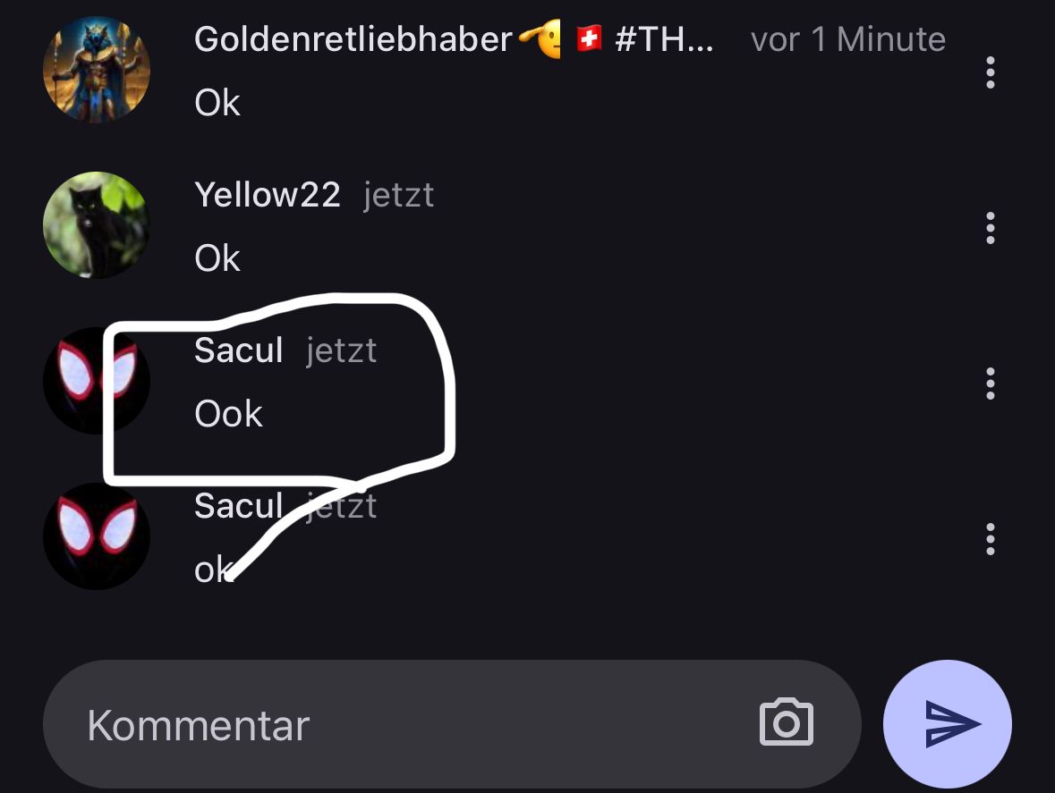 A chat history shows the user "Sacul" saying "Ook" and also "ok". Other users "Goldenretliebhaber" and "Yellow22" just wrote "Ok".