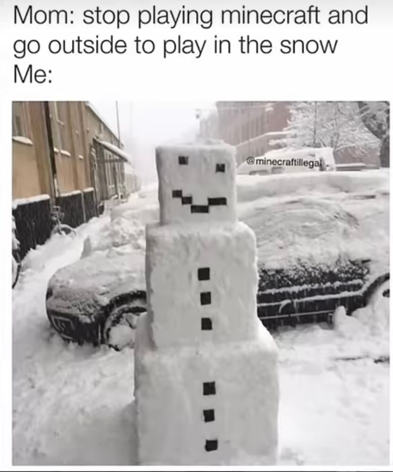 Mom: stop playing minecraft and
go outside to play in the snow
Me:
@minecraftillegal