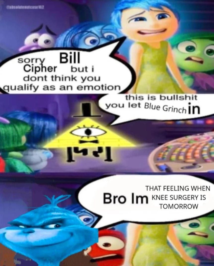 Casalutenutcase 162
Sorry Bill
Cipher but i
dont think you
qualify as an emotion
29
this is bullshit
you let Blue Grinch in
स
THAT FEELING WHEN
Bro Im KNEE SURGERY IS
TOMORROW