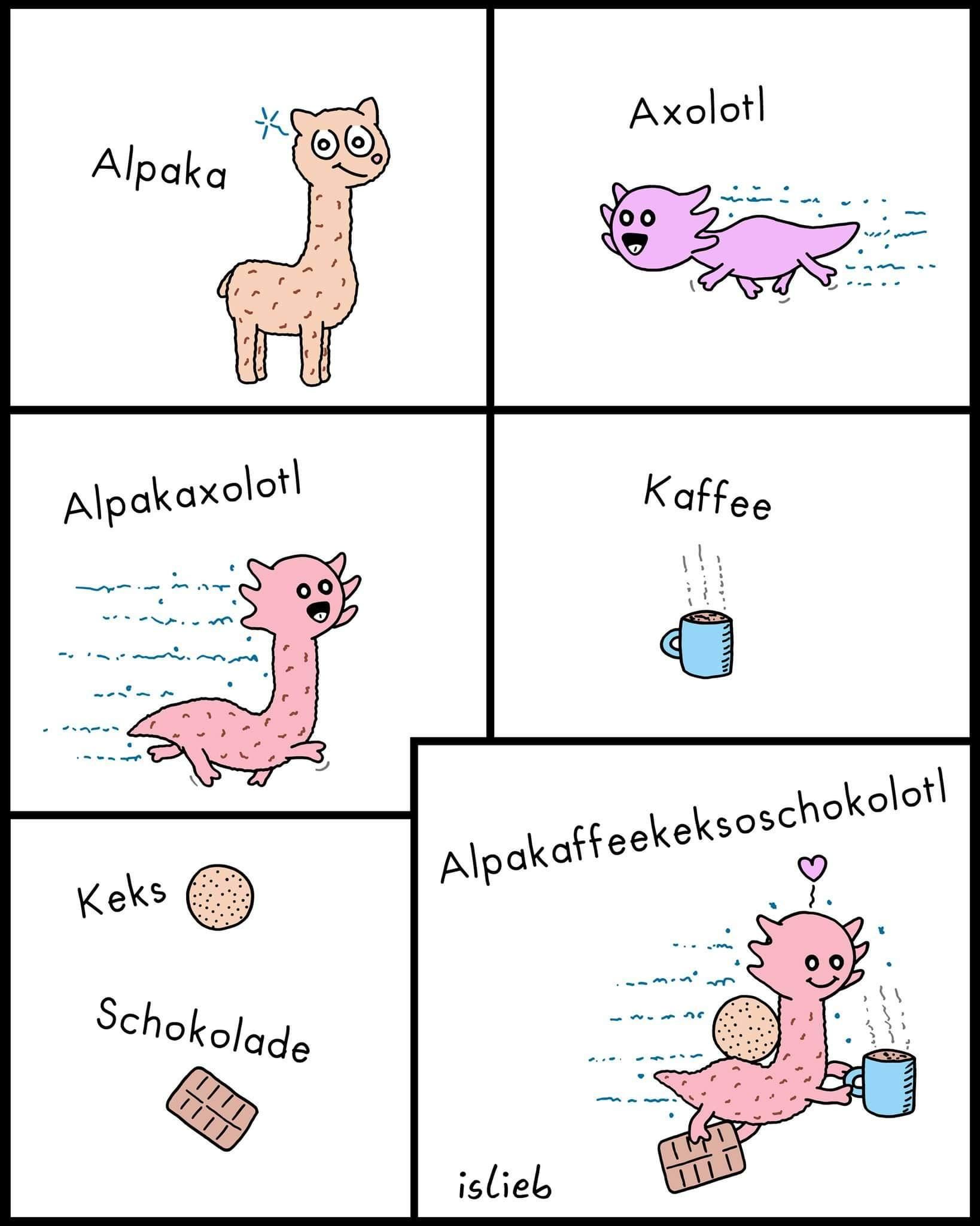 Alpaka
Axolotl
Alpakaxolotl
m
Kaffee
Alpakaffeekeksoschokolotl
Keks
Schokolade
islieb
35