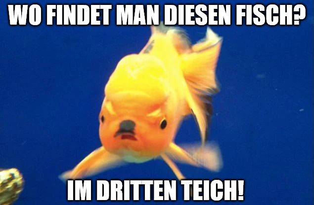 WO FINDET MAN DIESEN FISCH?
IM DRITTEN TEICH!