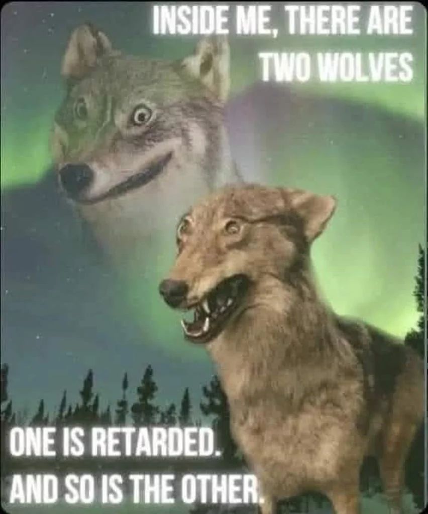 INSIDE ME, THERE ARE
TWO WOLVES
ONE IS RETARDED.
AND SO IS THE OTHER.