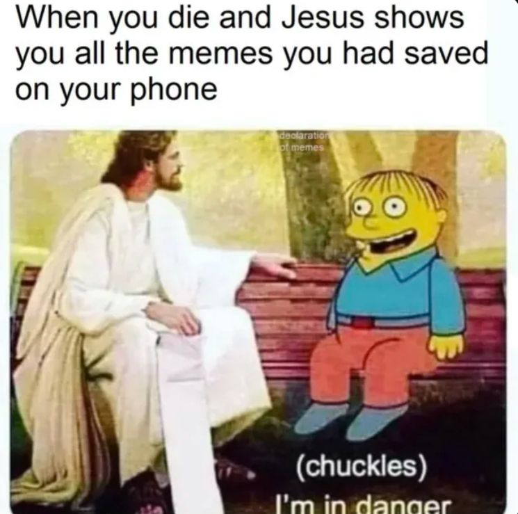 When you die and Jesus shows
you all the memes you had saved
on your phone
declaration
of memes
(chuckles)
I'm in danger