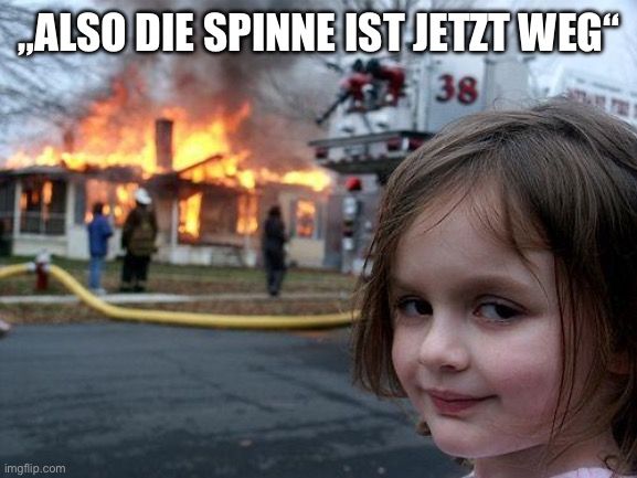 ALSO DIE SPINNE IST JETZT WEG"
38
