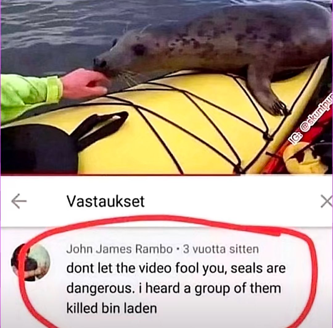 Vastaukset
John James Rambo 3 vuotta sitten
dont let the video fool you, seals are
dangerous. i heard a group of them
killed bin laden
IG: @skuntpur