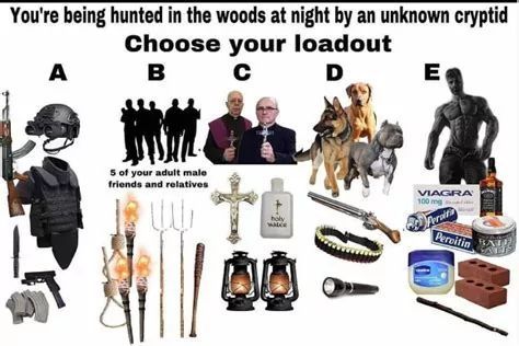 You're being hunted in the woods at night by an unknown cryptid
Choose your loadout
A
B
C
D
E
5 of your adult male
friends and relatives
VIAGRA
100 mg
Percitin