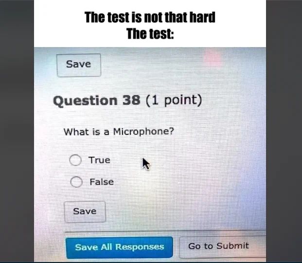 The test is not that hard
The test:
Save
Question 38 (1 point)
What is a Microphone?
True
False
Save
Save All Responses
Go to Submit