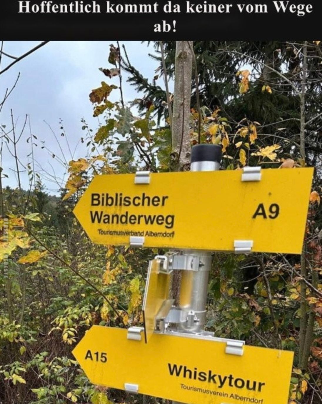 Hoffentlich kommt da keiner vom Wege
ab!
Biblischer
Wanderweg
Tourismusverband Albemdorf
A9
A15
Whiskytour
Tourismusverein Alberndorf