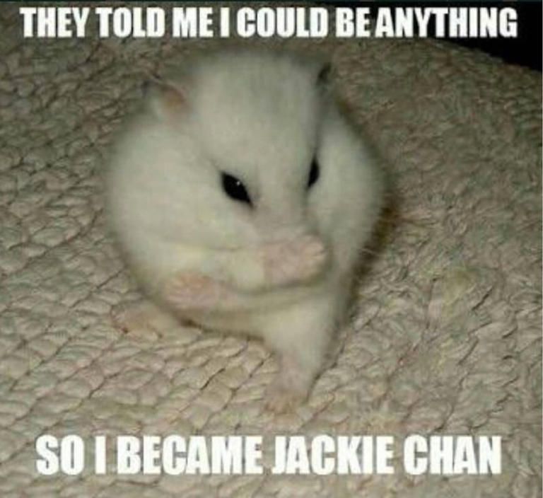 THEY TOLD ME I COULD BE ANYTHING
SO I BECAME JACKIE CHAN