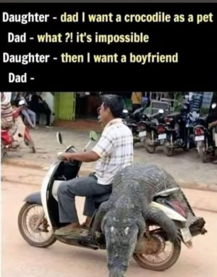 Daughter - dad I want a crocodile as a pet
Dad what?! it's impossible
-
Daughter - then I want a boyfriend
Dad -