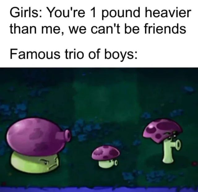 Girls: You're 1 pound heavier
than me, we can't be friends
Famous trio of boys:
10