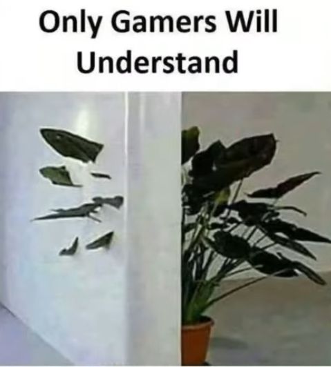 Only Gamers Will
Understand