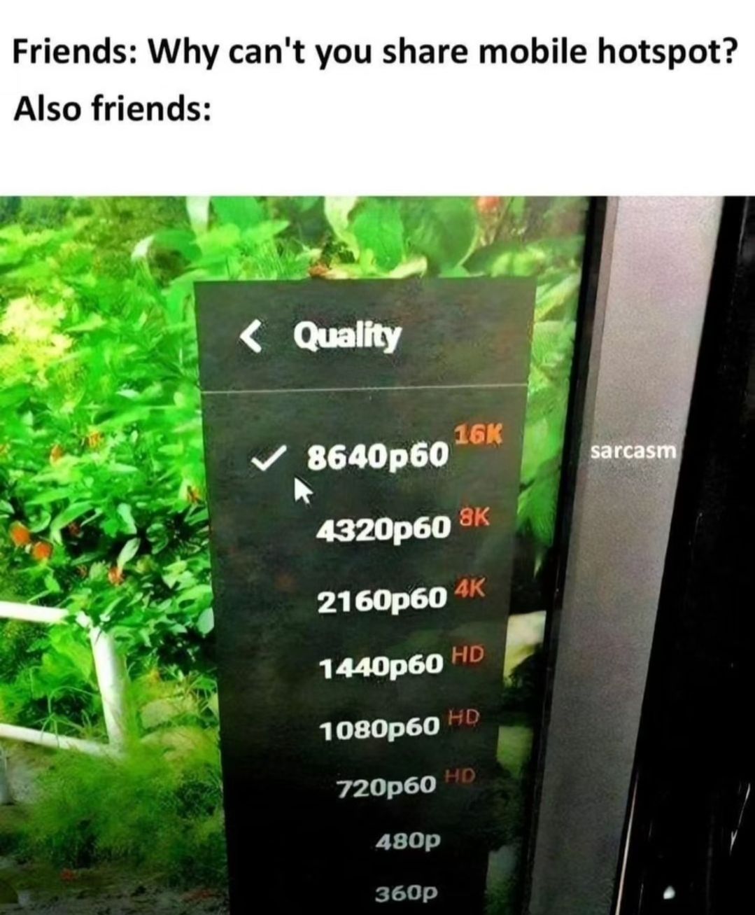 Friends: Why can't you share mobile hotspot?
Also friends:
< Quality
16K
✓ 8640p60
sarcasm
4320p60
8K
2160p60 4K
1440p60 HD
1080p60 HD
720p60 HD
480p
360p