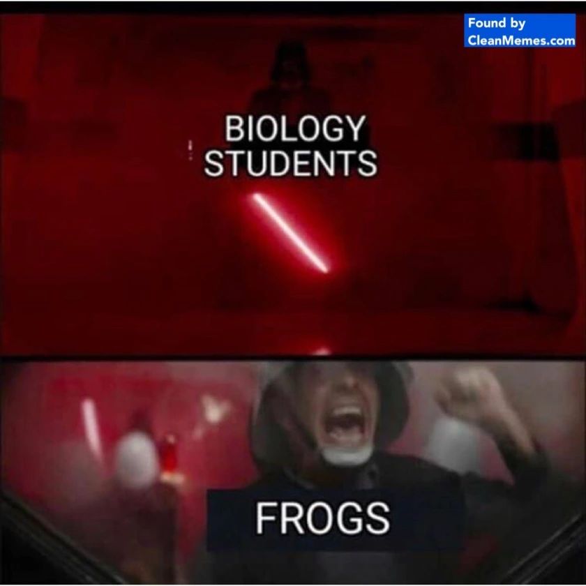 BIOLOGY
STUDENTS
FROGS
Found by
CleanMemes.com