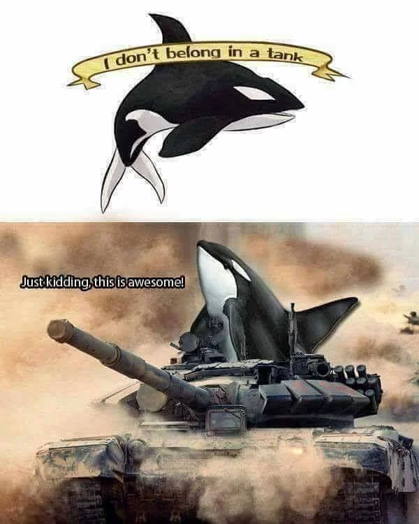 I don't belong in a tank
Just kidding, this is awesome!