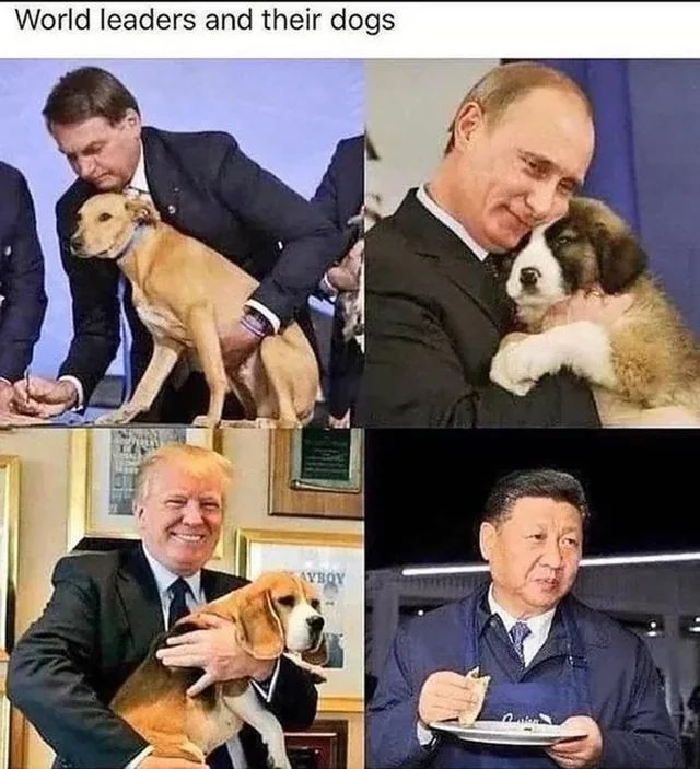 World leaders and their dogs
AYBOY