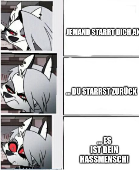 JEMAND STARRT DICH AN
TH
DU STARRST ZURÜCK
ES
IST DEIN
HASSMENSCH!