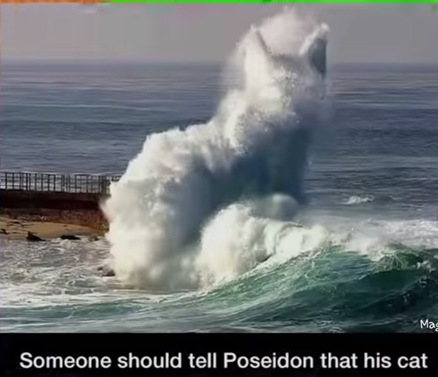 A huge wave is crashing onto a coast. The text below says: "Someone should tell Poseidon that his cat ..."