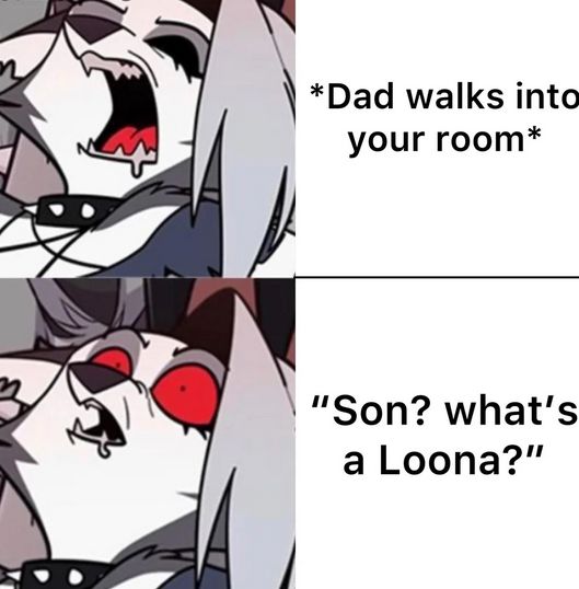 *Dad walks into
your room*
"Son? what's
a Loona?"