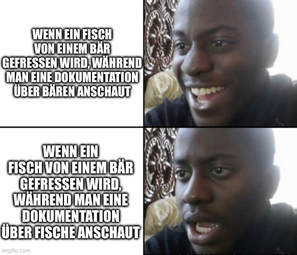 Ein Mann mit einem grinsenden Gesicht, wenn ein Fisch von einem Bär gefressen wird, während eine Doku über Bären läuft. Im unteren Bild die gleiche Person mit einem schockierten Gesichtsausdruck, wenn ein Fisch von einem Bär gefressen wird, während eine Doku über Fische läuft.