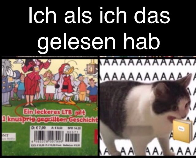 Das Bild zeigt zwei Hälften. Links ist ein Comic-Ausschnitt mit einem roten Kreis um eine Textstelle. Rechts ist eine Katze zu sehen, die ein kleines gelbes Buch im Maul hat. Über dem Bild steht: "Ich als ich das gelesen hab". Auf dem Comic steht: "Ein leckeres LTB mit 1 knusprig gegrillten Geschichte". Im Hintergrund sieht man Buchstaben "A".