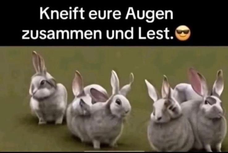 Das Bild zeigt vier graue Hasen auf einer grünen Fläche. Der Text auf dem Bild lautet: "Kneift eure Augen zusammen und lest." Daneben ist ein Smiley mit Sonnenbrille.