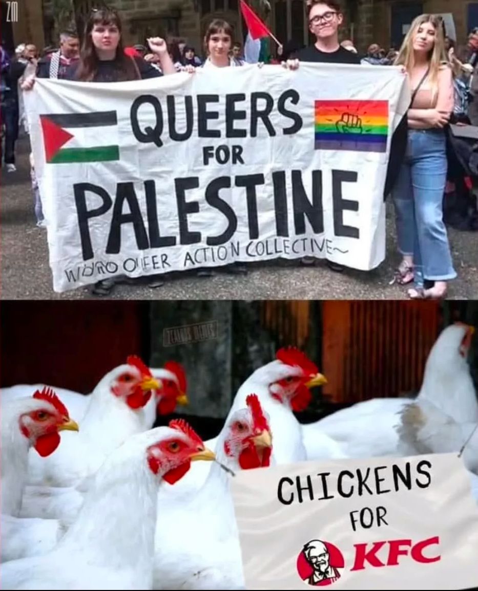 Das Bild zeigt zwei Banner: Das obere zeigt vier Personen mit einem Banner, auf dem steht: "QUEERS FOR PALESTINE", darunter "Word of Action Collective". Das untere Banner, das von mehreren Hühnern gehalten wird, zeigt: "CHICKENS FOR KFC" mit dem KFC-Logo.