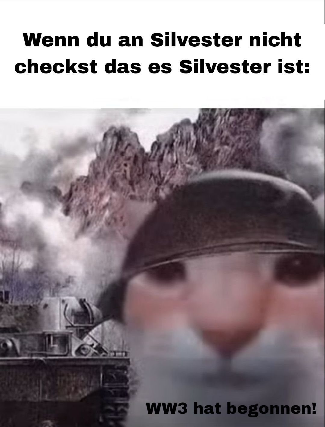 Ein Bild zeigt eine Katze mit einem Helm, die vor einem Hintergrund mit Panzern und Rauch in einem Kriegsszenario steht. Der Text auf dem Bild lautet: "Wenn du an Silvester nicht checkst, dass es Silvester ist: WW3 hat begonnen!"