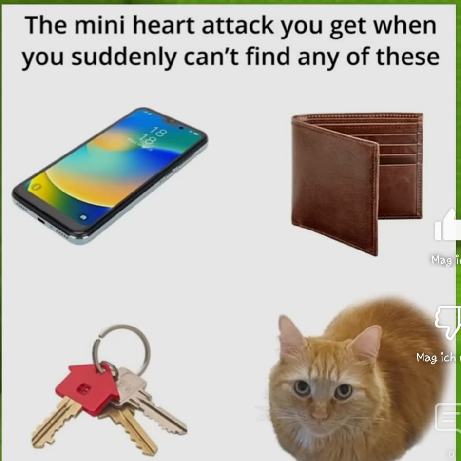 Das Bild zeigt ein Handy, eine Brieftasche, einen Schlüsselbund und eine Katze. Darüber steht der Text: "Der Mini-Herzinfarkt, den du bekommst, wenn du plötzlich nichts davon finden kannst."