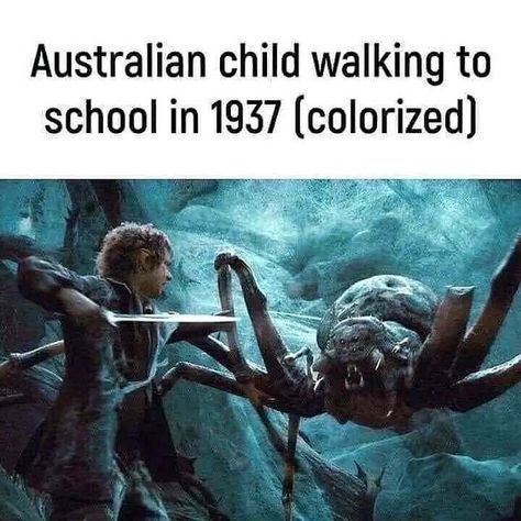 Das Bild zeigt eine Szene aus "Der Hobbit", in der Bilbo Beutlin einer riesigen Spinne gegenübersteht. Über dem Bild steht der Text "Australisches Kind auf dem Weg zur Schule im Jahr 1937 (coloriert)".