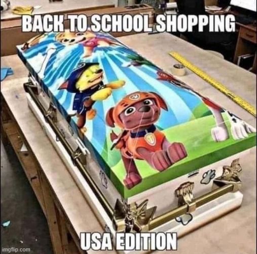 Auf dem Bild ist ein Sarg zu sehen, der mit "Paw Patrol" Motiven bedruckt ist. Darauf steht "BACK TO SCHOOL SHOPPING" und "USA EDITION".