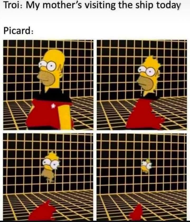 A four-panel meme shows Homer Simpson as Picard. In the first panel, he is in his usual shape. In the second, he seems to shrink, in the third he becomes smaller, and in the fourth panel he is tiny. The text on top reads: "Troi: My mother's visiting the ship today" and below the text reads: "Picard:".