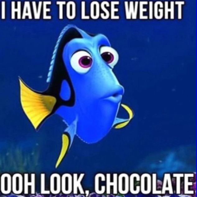 Das Bild zeigt Dorie, den blauen Fisch aus dem Film Findet Nemo, mit großen Augen und leicht geöffnetem Mund. Der Text oben lautet: "I HAVE TO LOSE WEIGHT". Der Text unten lautet: "OOH LOOK, CHOCOLATE."