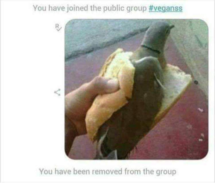 Ein Bild zeigt eine Hand, die eine Taube in einem Brötchen hält, mit dem Text: "You have joined the public group #veganss. You have been removed from the group."