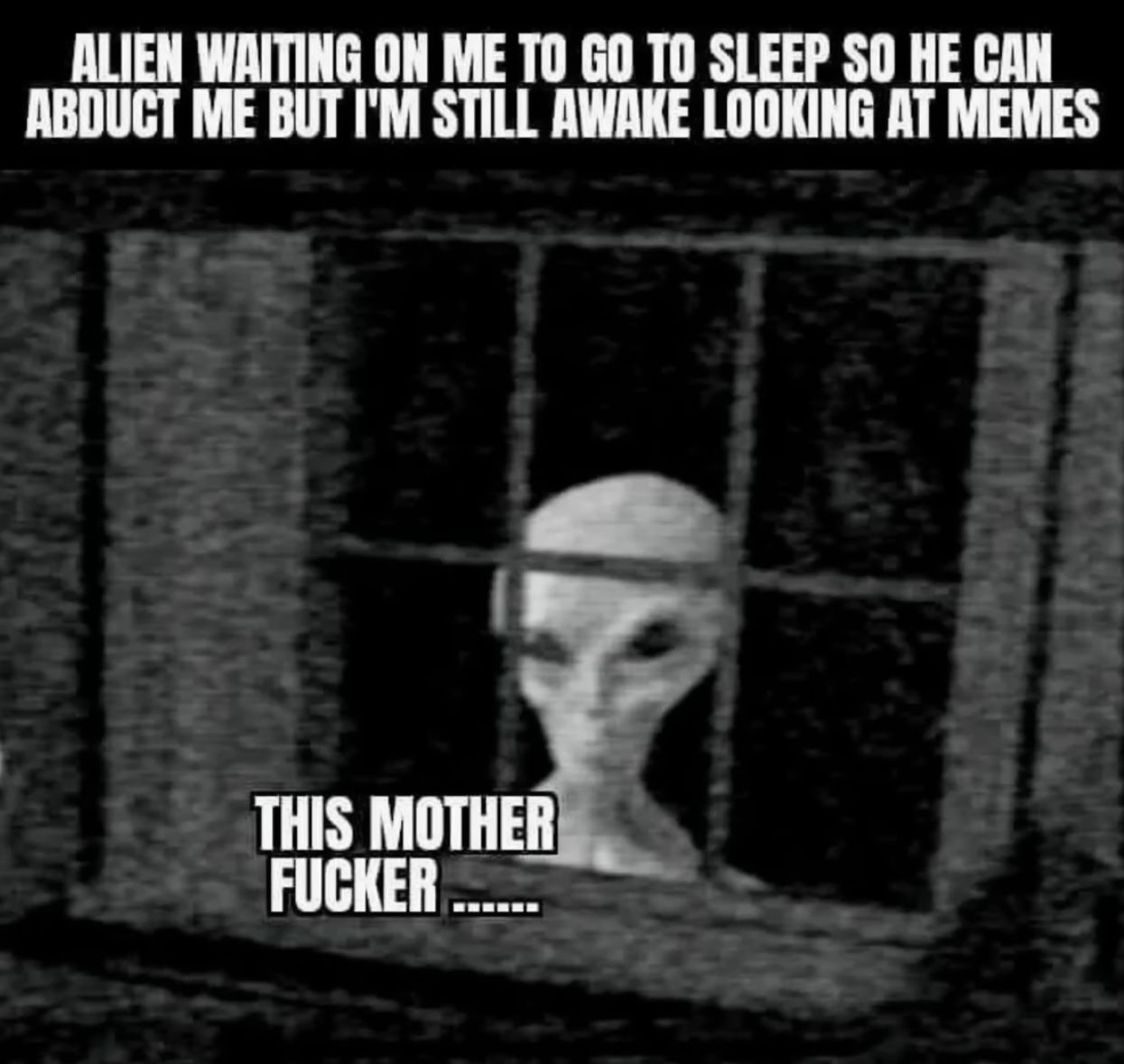 Ein unscharfes, schwarz-weißes Bild zeigt einen Alien, der durch ein Fenster schaut. Der Text über dem Alien lautet: "ALIEN WAITING ON ME TO GO TO SLEEP SO HE CAN ABDUCT ME BUT I'M STILL AWAKE LOOKING AT MEMES" (Alien wartet darauf, dass ich schlafe, damit er mich entführen kann, aber ich bin immer noch wach und schaue Memes). Unter dem Alien steht: "THIS MOTHER FUCKER..." (Dieser Mistkerl...).