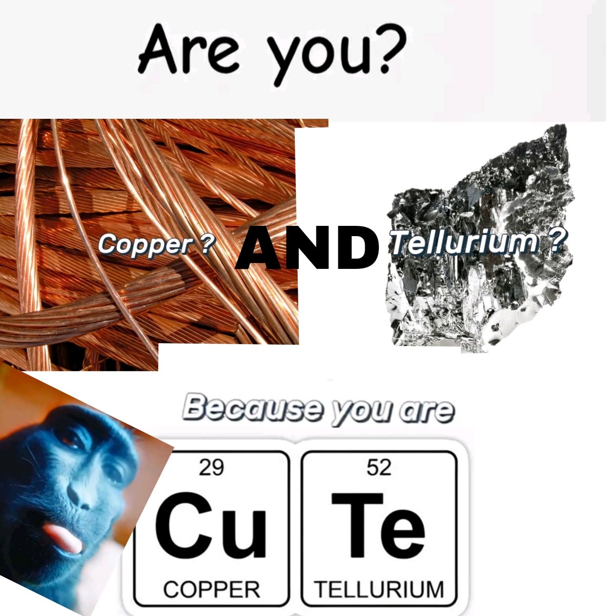 The image shows a meme with the text "Are you?" followed by two pictures of copper and tellurium. Below, it says "Because you are" followed by the chemical symbols "Cu" and "Te" forming the word "cute". In the left corner of the image is a blue monkey with its tongue out.