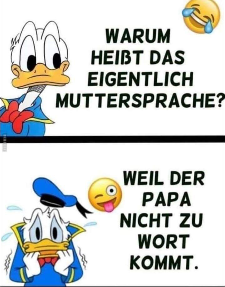 Das Bild zeigt zwei Comicpanels mit Donald Duck. Im ersten Panel fragt Donald mit einem lachenden Emoji "Warum heißt das eigentlich Muttersprache?". Im zweiten Panel sieht man Donald verängstigt mit einem zwinkernden Emoji daneben und den Satz "Weil der Papa nicht zu Wort kommt."