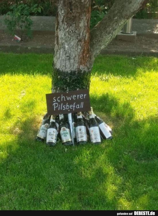 Ein Baum mit einer Tafel, auf der "schwerer Pilsbefall" steht. Am Baumfuß stehen mehrere Bierflaschen.