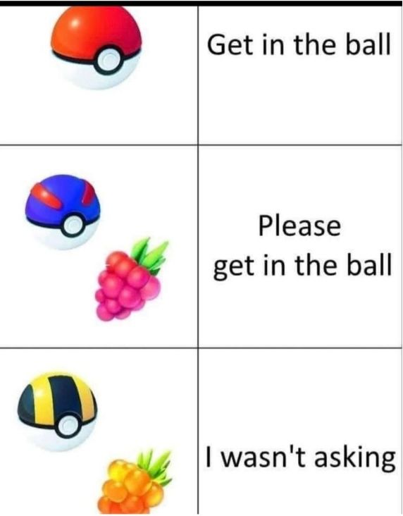 Die Abbildung zeigt drei verschiedene Pokébälle und Text. Der erste Pokéball ist rot und darüber steht „Get in the ball“. Der zweite Pokéball ist blau und eine Himbeere ist hinzugefügt, darüber steht „Please get in the ball“. Der dritte Pokéball ist gelb und eine gelbe Beere ist hinzugefügt, darüber steht „I wasn't asking“.