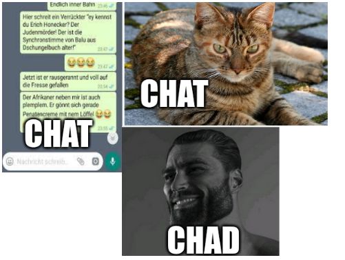 Das Bild zeigt drei Teilbilder: Links ein WhatsApp-Chat mit einem absurden Text. Darüber liegt das Wort „CHAT“. Im Bild in der Mitte ist eine Katze zu sehen, auch hier ist das Wort „CHAT“ aufgelegt. Das untere Bild zeigt den lächelnden „Chad“-Männer-Gesicht und das Wort „CHAD“ darauf.