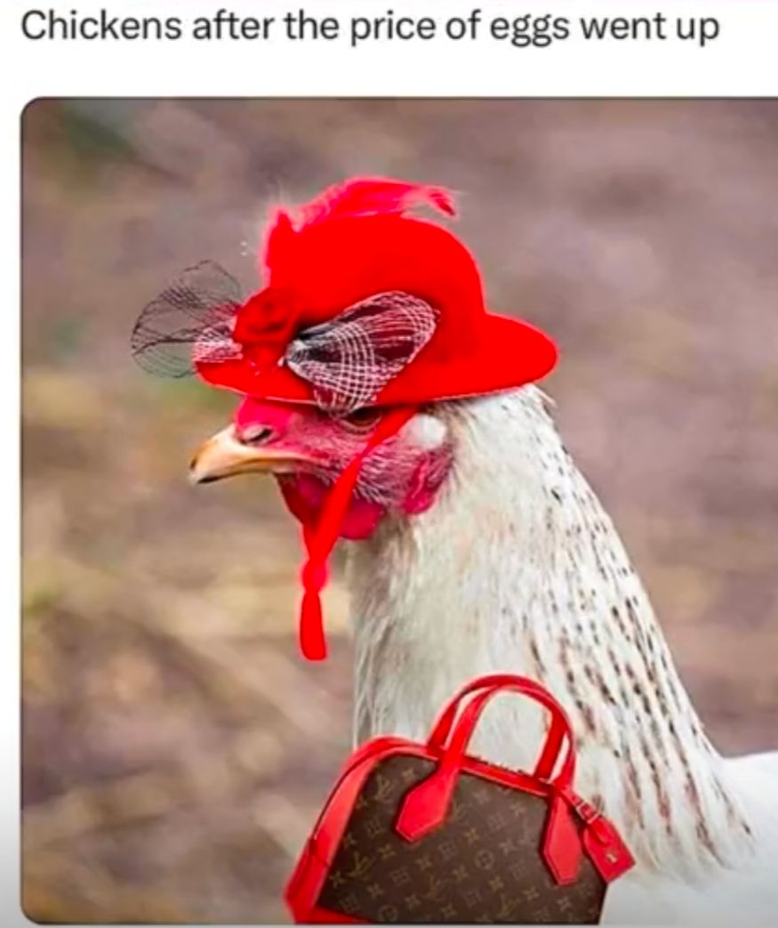 Ein weißes Huhn mit rotem Kamm und rotem Hut mit Schleife, trägt eine Louis Vuitton Handtasche.