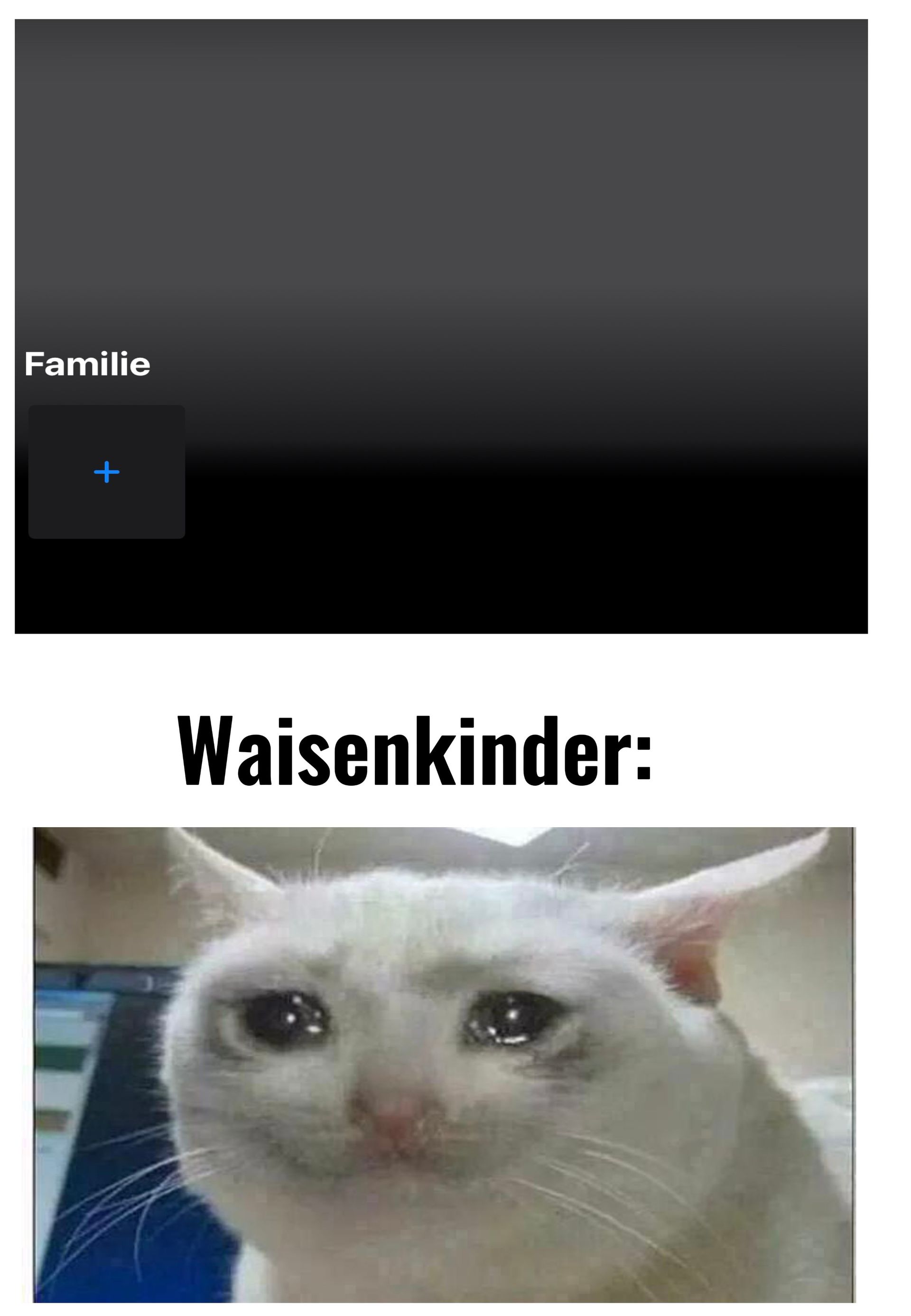 Das Bild zeigt zwei Bereiche: Oben einen Screenshot einer Social Media App mit dem Text "Familie" und einem Pluszeichen. Darunter ist eine weinende weiße Katze zu sehen, mit dem Text "Waisenkinder:" darüber.