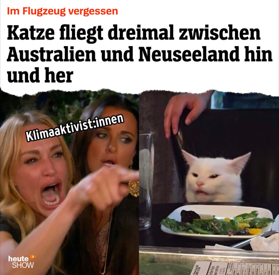 Das Bild zeigt ein geteiltes Bild. Links sind zwei Frauen, eine schreit und zeigt mit dem Finger, beschriftet mit "Klimaaktivist:innen". Rechts ist eine weiße Katze mit einem genervten Gesichtsausdruck, die an einem Tisch mit einem Teller sitzt. Über dem Bild steht: "Im Flugzeug vergessen. Katze fliegt dreimal zwischen Australien und Neuseeland hin und her."