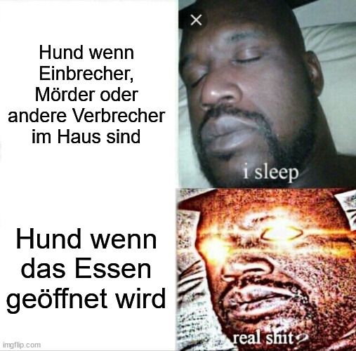 Das Bild zeigt zwei nebeneinander angeordnete Bilder. Das obere Bild zeigt einen schlafenden Mann mit dem Text "i sleep". Das untere Bild zeigt denselben Mann, dessen Gesicht überstrahlt ist mit dem Text "real shit?". Auf der linken Seite ist folgender Text zu lesen: "Hund wenn Einbrecher, Mörder oder andere Verbrecher im Haus sind" und darunter "Hund wenn das Essen geöffnet wird".