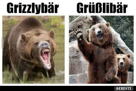 Das Bild zeigt zwei Bären nebeneinander. Links ist ein Grizzlybär mit offenem Maul, der aggressiv wirkt. Rechts ist ein Bär, der freundlich winkt. Über den Bären steht jeweils „Grizzlybär“ und „Grüßlibär“. Unten rechts ist ein kleines Logo mit "DEBESTE".