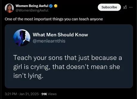 Ein Tweet von "Women Being Awful" mit dem Text: "Eine der wichtigsten Lektionen, die man jedem beibringen kann". Darunter ist ein weiterer Tweet von "What Men Should Know" zu sehen mit dem Text: "Bring deinen Söhnen bei, dass nur weil ein Mädchen weint, das nicht bedeutet, dass sie nicht lügt." Der Tweet hat 91K Views.