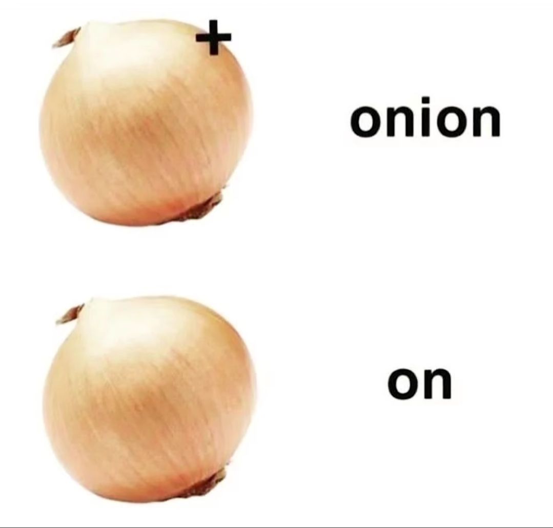 Das Bild zeigt zwei gleiche Zwiebeln. Die obere hat ein kleines Pluszeichen darüber und die Bildunterschrift „onion“, die untere Zwiebel hat keine Markierung und die Bildunterschrift „on“.