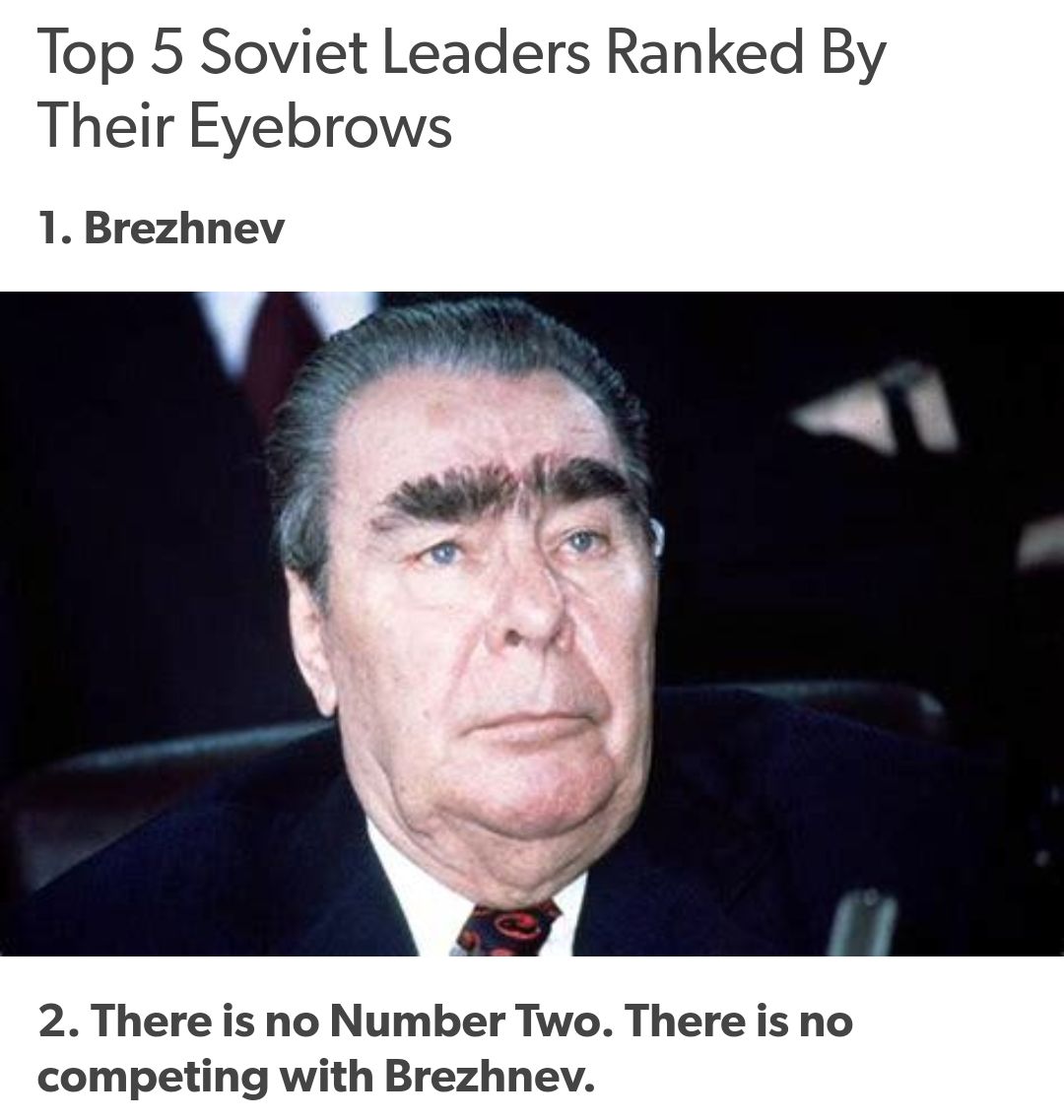 Ein Bild von Leonid Brezhnev, mit der Überschrift "Top 5 Soviet Leaders Ranked By Their Eyebrows" und der Aussage "1. Brezhnev. 2. There is no Number Two. There is no competing with Brezhnev." Der Fokus liegt auf seinen markanten Augenbrauen.